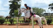 Laura Carvalho saltando com cavalo hipismo